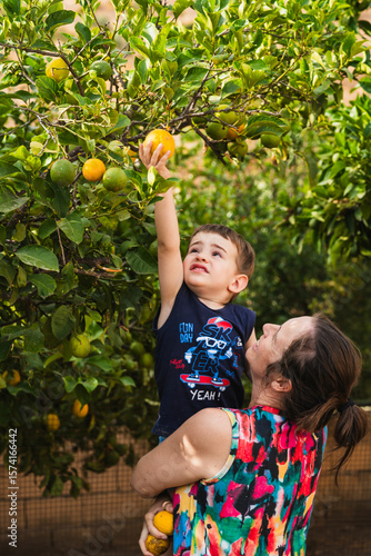 Mother holding son picking orange from tree in orchard