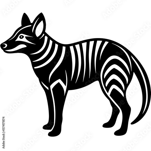 zebra vector illustration