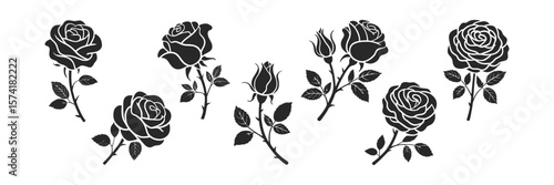 Monochrome Roses Collection Isolated on White with Detailed Thorns and Leaves Design