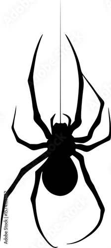 Hanging Spider with Web Halloween Vector Design