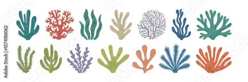 Watercolor Seaweed Set Illustration, Algae, Marine Plant, Coral On White Background