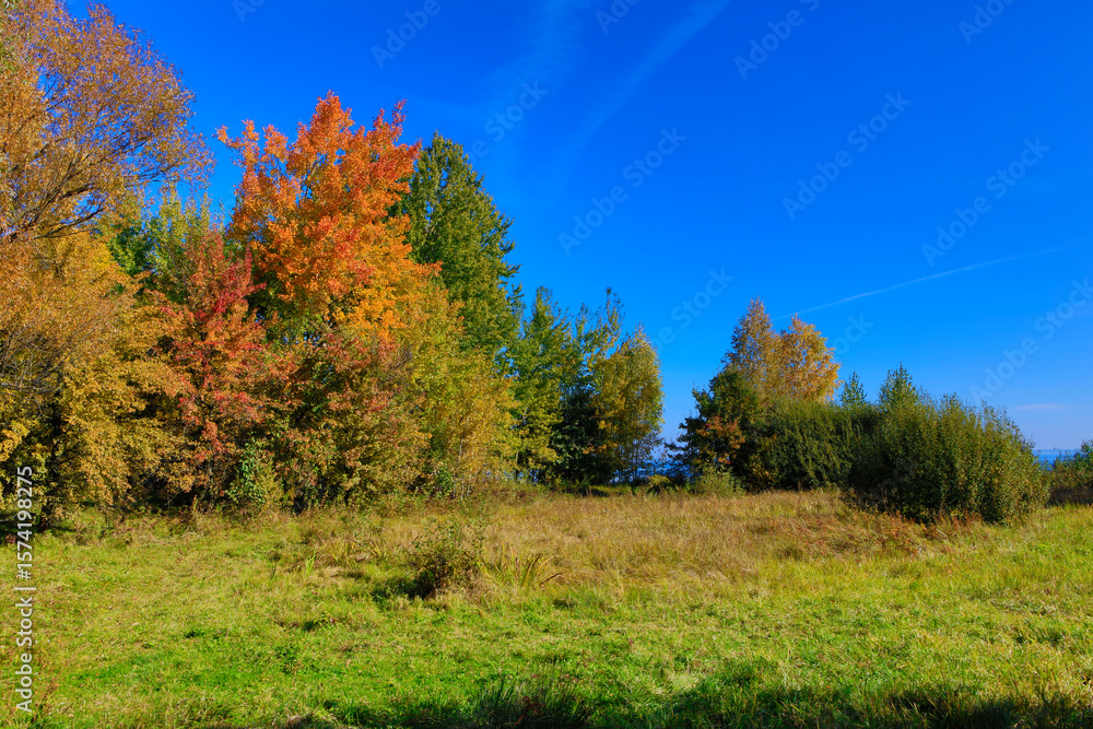 Ukraine Kyiv region landscape on a sunny autumn day Ukraine Kyiv region landscape on a sunny autumn day