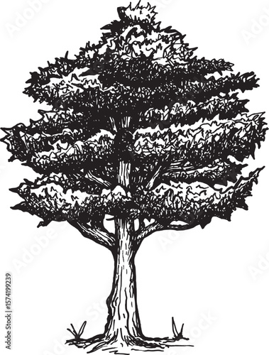 Tree vector