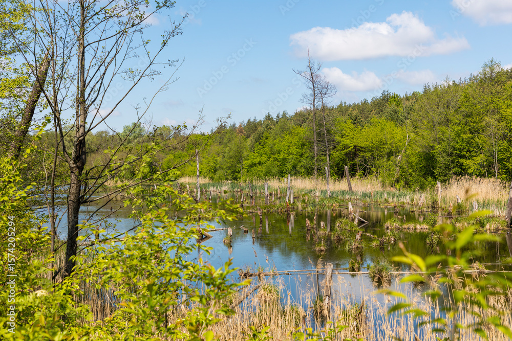 Obraz premium Ukraine Kyiv region landscape on a sunny autumn day