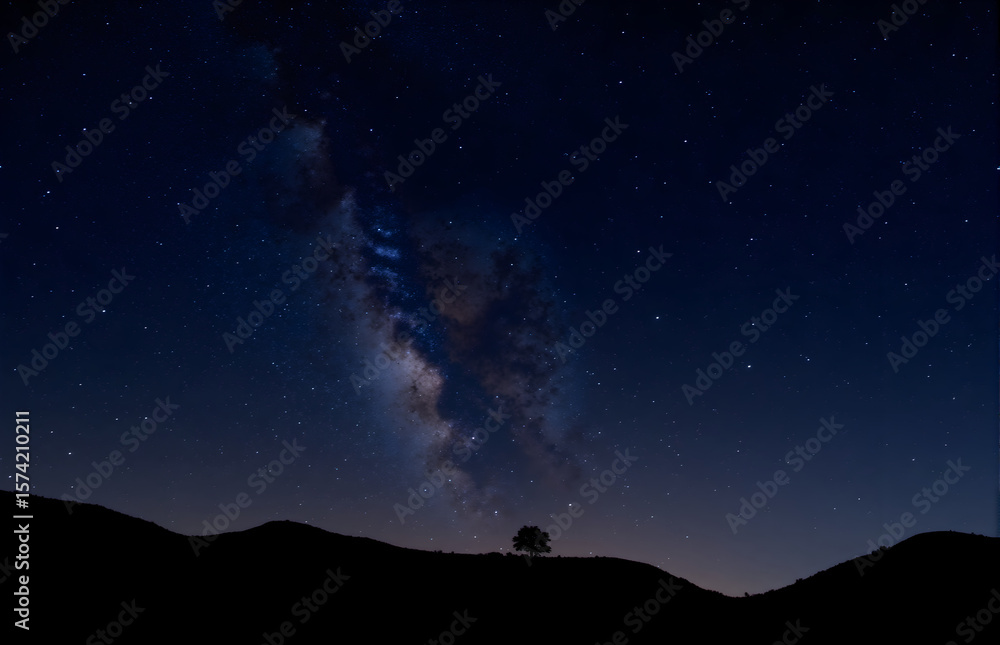 Fototapeta premium Lone Tree Under Starry Sky