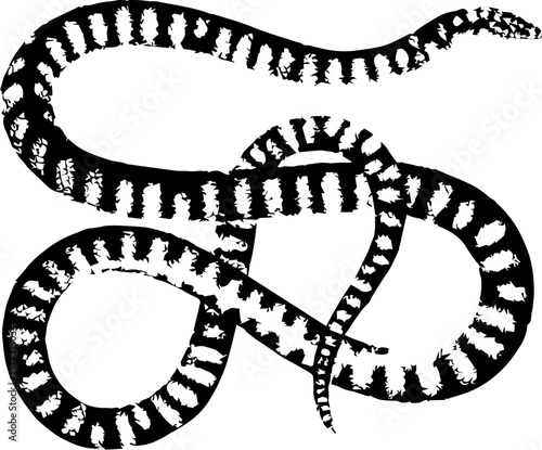 Print effect snake