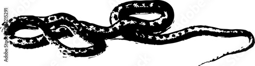 Print effect snake