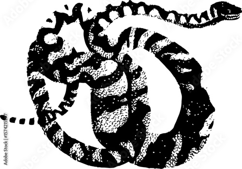 Print effect snake