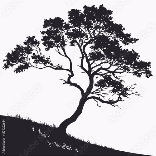 Dark tree silhouette on grassy incline black branches