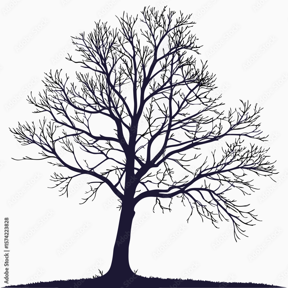 Obraz premium Dark bare tree branches against white bare branches