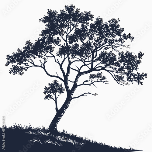 Dark blue silhouette of a tree with grass on white background nature