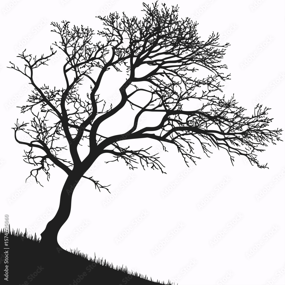 Obraz premium Black bare tree silhouette on white background branches