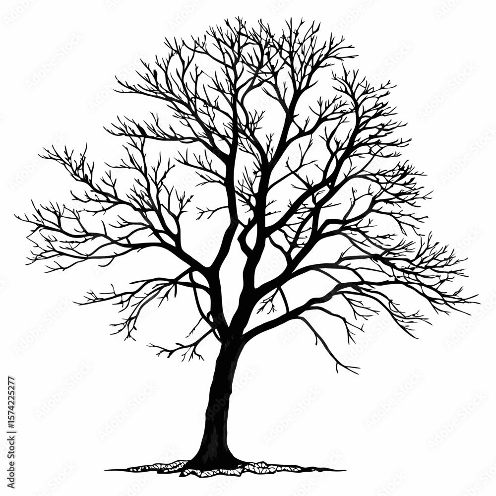 Obraz premium Black silhouette of a bare tree with exposed roots leafless