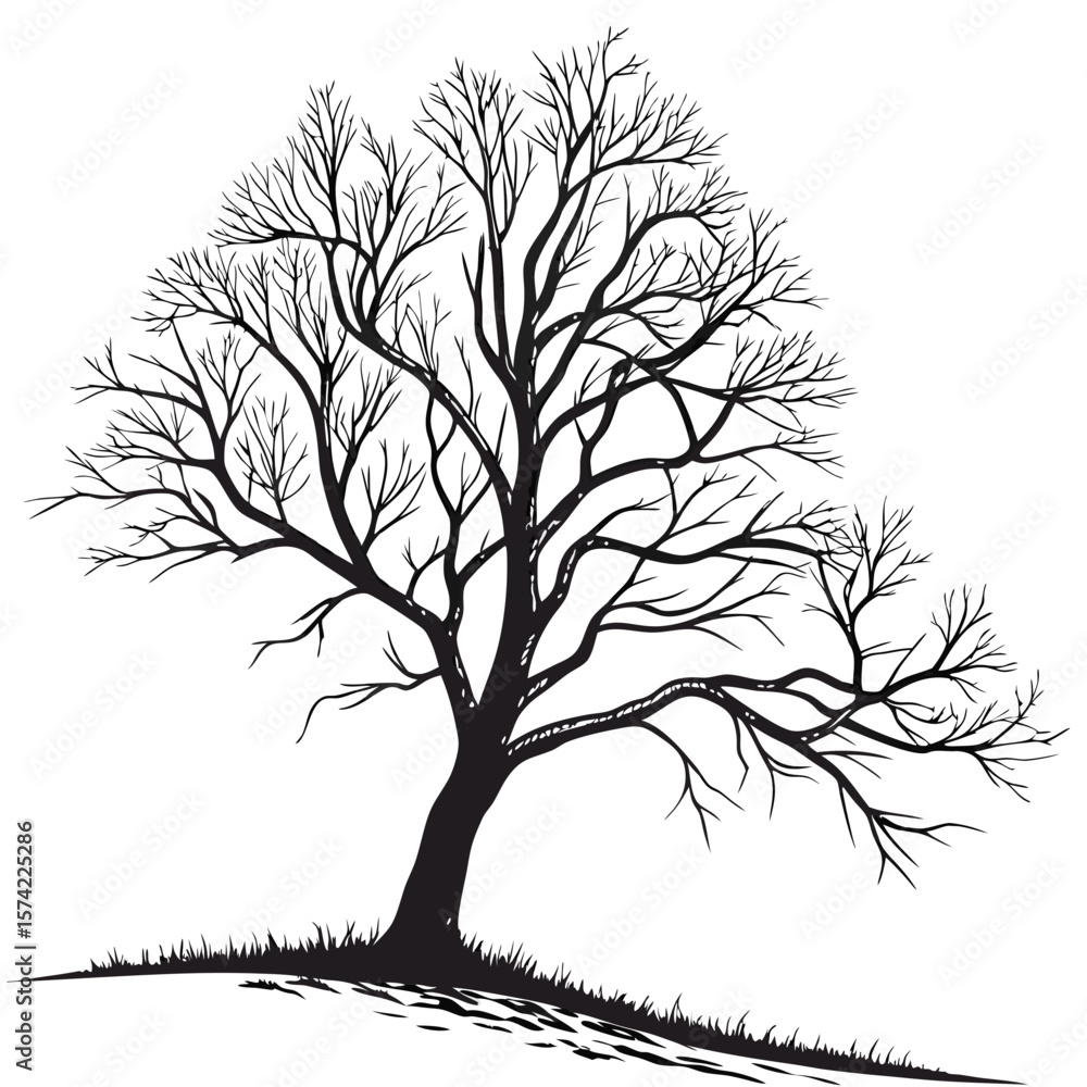 Obraz premium Black silhouette of a bare tree with intricate branches black and white winter