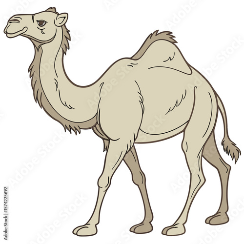 Tan camel standing on white background animal desert