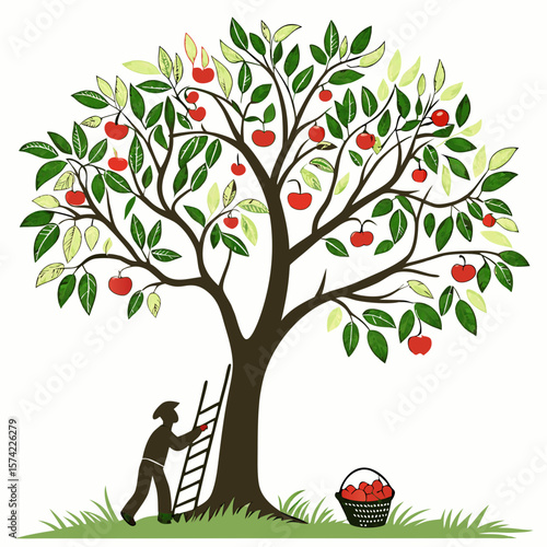 Tree with red apples and a person picking fruit apple tree fruit picking
