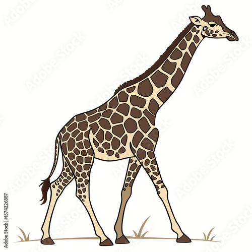 Giraffe walking on grassy plain animal wildlife