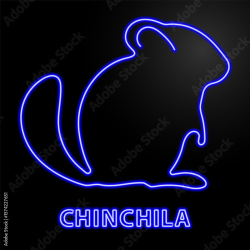 chinchila neon sign, modern glowing banner design, colorful modern design trends on black background. Vector illustration.