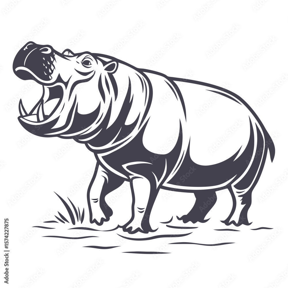 Fototapeta premium Hippopotamus roaring with open mouth and tusks animal
