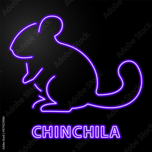 chinchila neon sign, modern glowing banner design, colorful modern design trends on black background. Vector illustration.