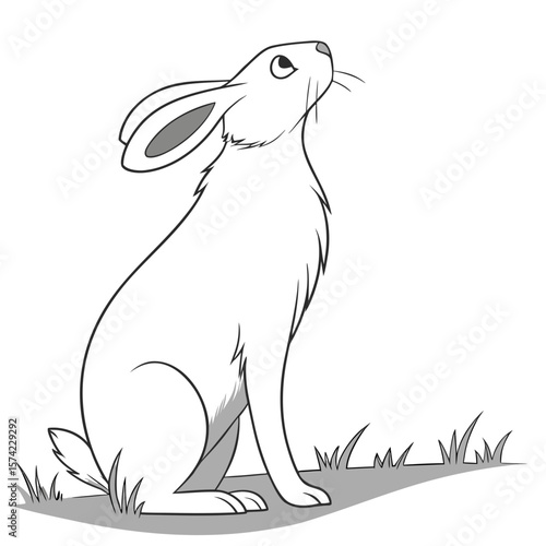 White rabbit sitting looking up with grass hare animal