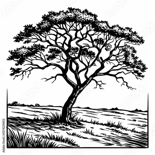 Black and white illustration of a lone tree in a grassy field
