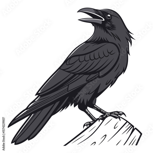 Black crow perched on wood raven bird