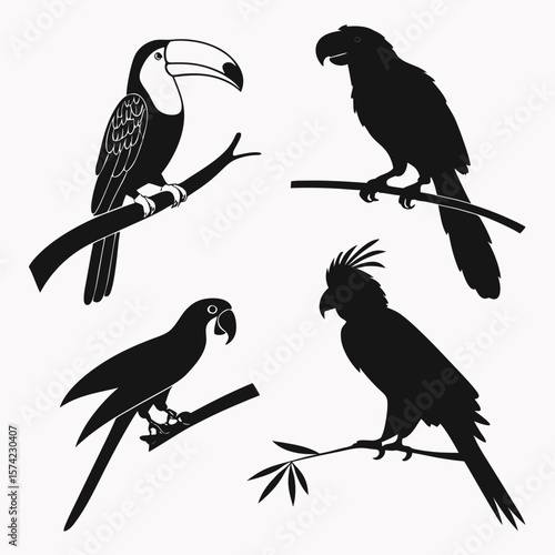 Toucan parrot cockatoo silhouettes on branches bird