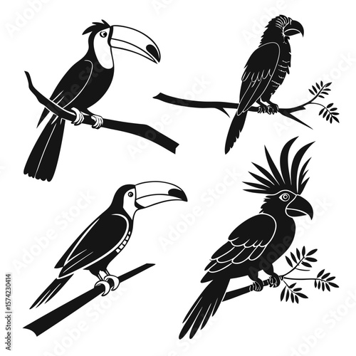 Toucans and Cockatoos Perched on Branches parrot tropical birds