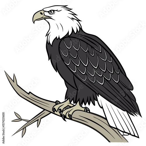 Majestic eagle perched on a branch bird wildlife