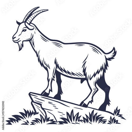 Majestic goat standing on rocky outcrop with grass animal mammal