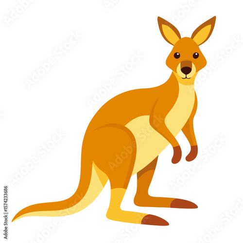 Orange kangaroo standing on white background animal marsupial