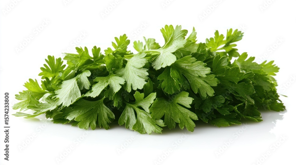 Fototapeta premium Fresh parsley bunch on white