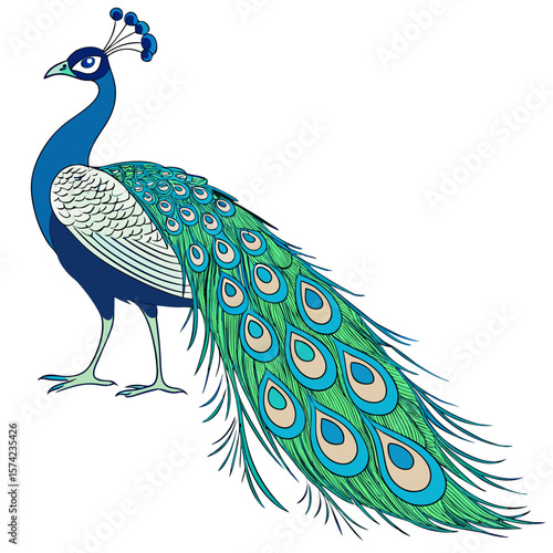 Majestic peacock with vibrant blue green and cream plumage bird avian