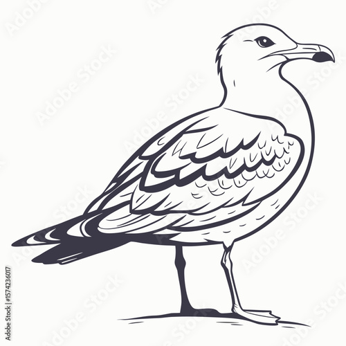 Detailed line art of a standing seagull with dark grey outlines bird avian