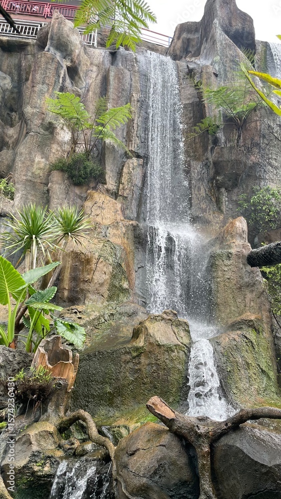 Fototapeta premium waterfall in the forest