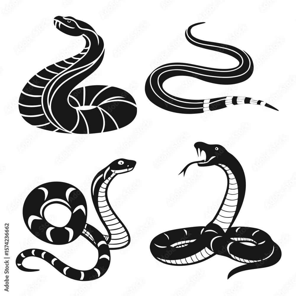 Fototapeta premium Black serpent silhouettes coiled striking and slithering snake reptile