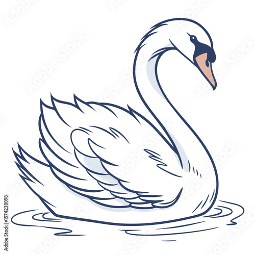 Elegant white swan swimming on water bird