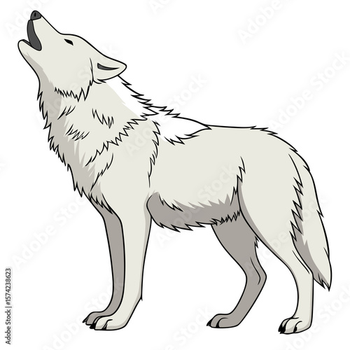White wolf howling on white background arctic animal