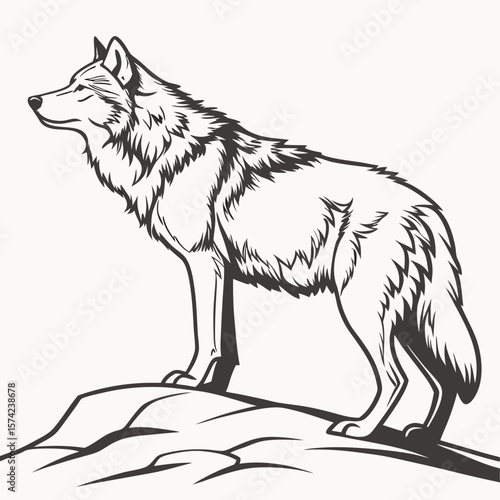 Majestic wolf standing on rocky outcrop canine animal