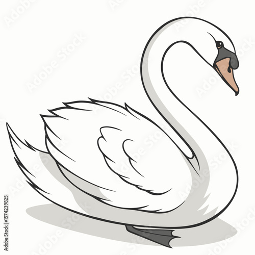 Elegant white swan resting gracefully bird waterbird