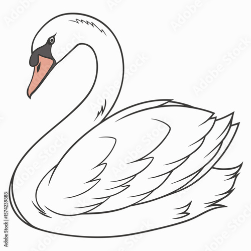 Elegant white swan with black outline and pink beak bird waterfowl