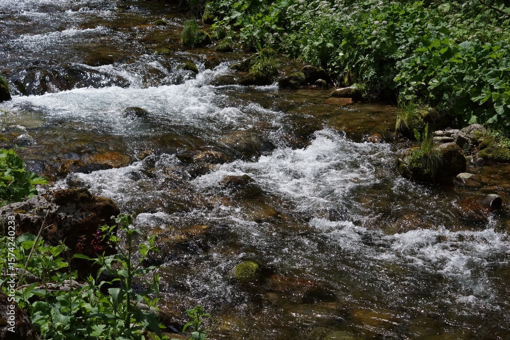 Fototapeta premium A turbulent mountain stream on a sunny day. Light can be seen reflecting off the water