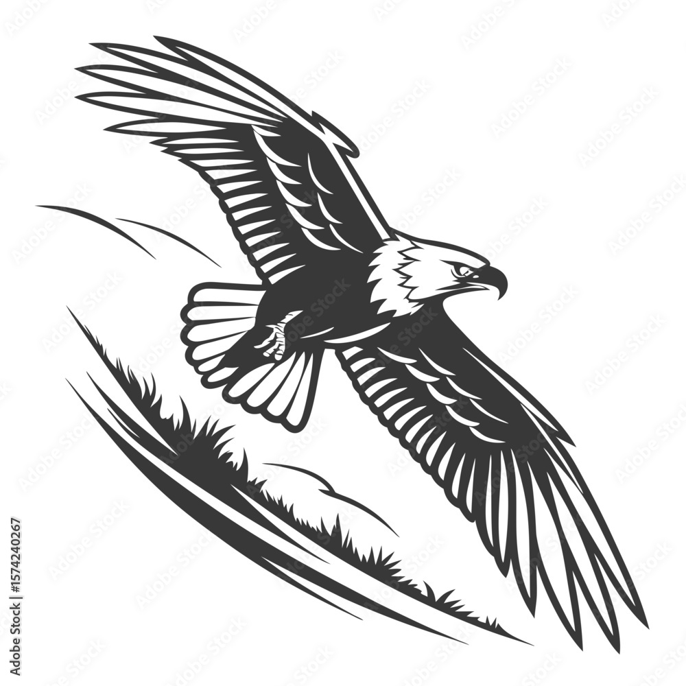Fototapeta premium Majestic eagle soaring with sharp details bird flight