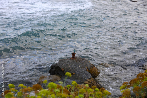 Kreta Küste Stalis Eisvogel
