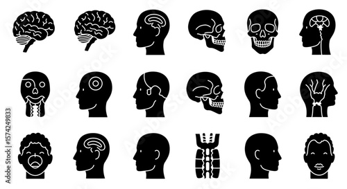 Collection of anatomical head and brain illustrations in black silhouette.