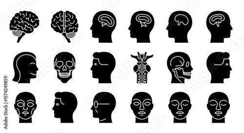 Silhouette illustrations of various human heads and brains, showcasing anatomical details.
