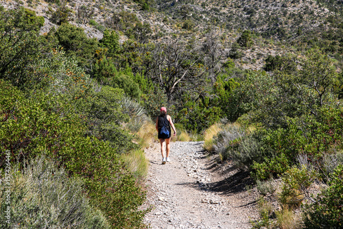 Hiker on Rocky Trail Surrounded by Greenery in Mountainous Terrain