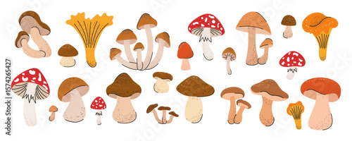 Mushroom set. Fly agaric, chanterelle, honey mushroom, porcini mushroom, brown birch bolete