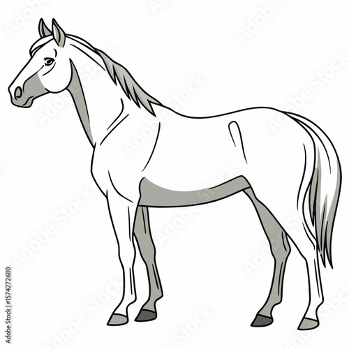 Grey Horse Side Profile White Background Illustration
